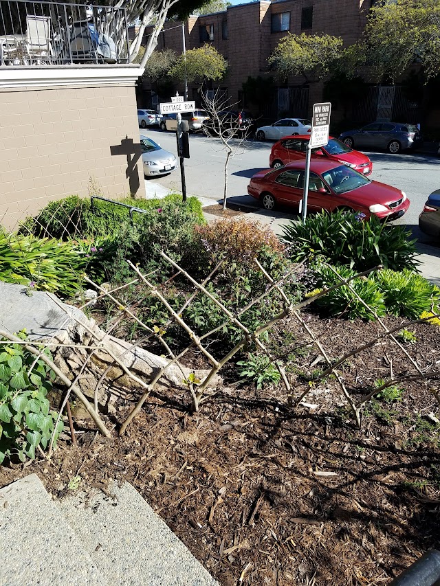 Cottage Row Mini Park