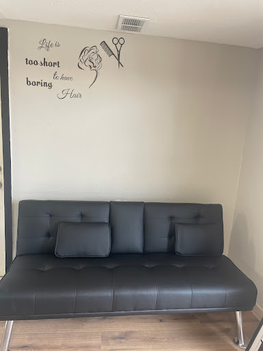 Salon 377 - Visual