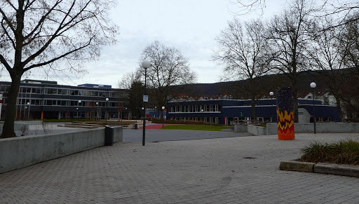 International School Heidelberg - Thumbnail