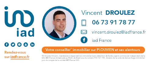 Droulez vincent - Visual