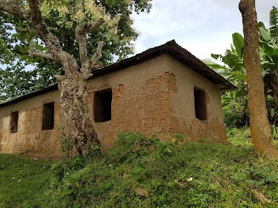 Photos of Rema Kalenga Reserved Forest