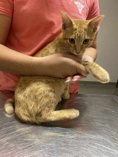 Unionville Veterinary Clinic - Thumbnail