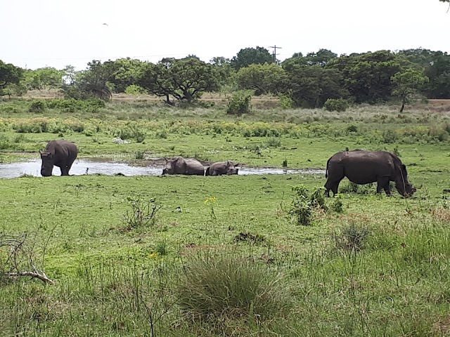 iSimangaliso Wetland Park