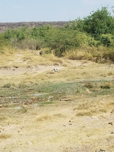 Photos of Aledeghi Wildlife Reserve