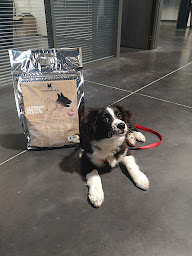 Photo n°26 de Maison Moulin à Cappelle-en-Pévèle (Animalerie)