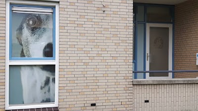 Photos of Dierenkliniek Filmwijk