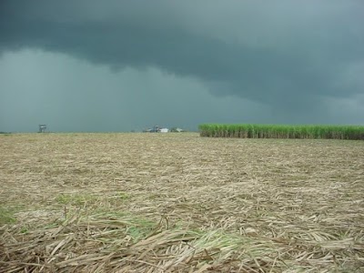 Photos of Lanka Sugar Company Ltd -Pelwatte