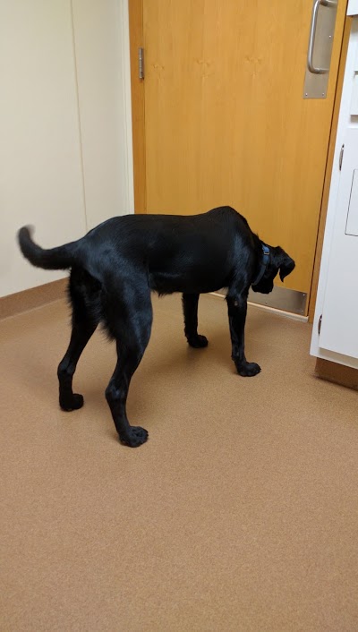 Photos of Manchester Veterinary Clinic