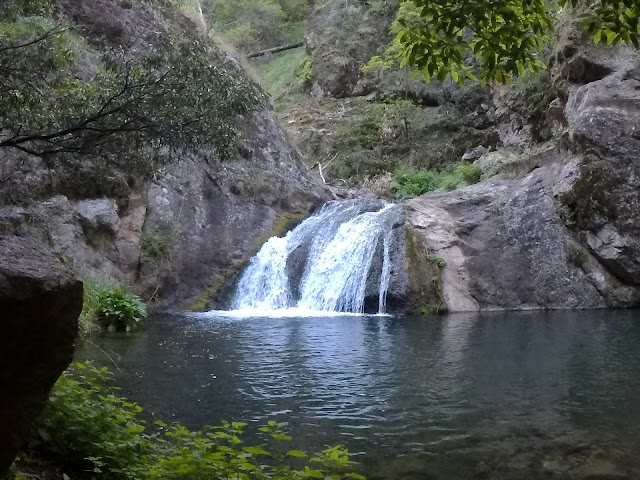 Blue Lake Jenolan