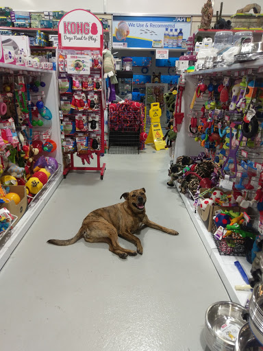 Pet Store N More - Thumbnail