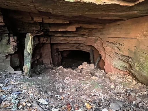 Ruffner Mountain - Visual