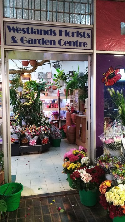 Photos of Westlands Florist & Garden Centre