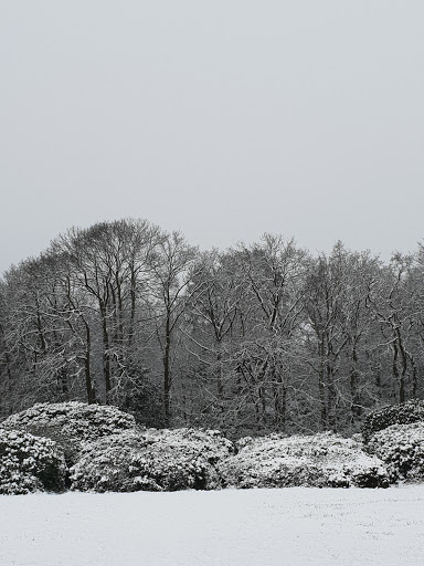 Earlswood Park - Thumbnail