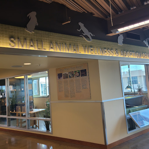 Peninsula Humane Society & SPCA Adoption Center - Thumbnail