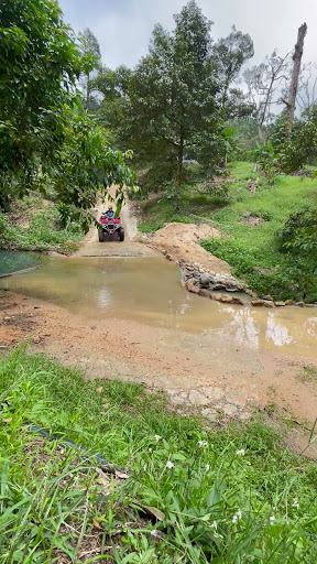 Samui JUNGLE X-QUAD