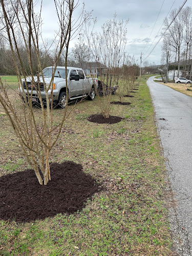 Ray Boy's Landscaping LLC