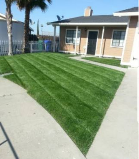 Deckards Landscape - Visual