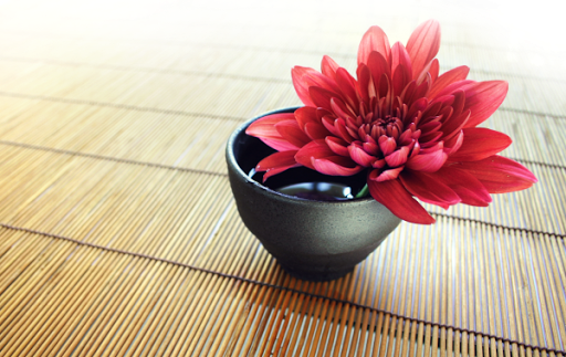 Akupunktura Pięciu Elementów