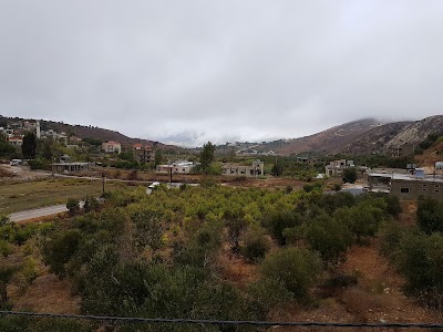 Photos of Al-Zahraa Company