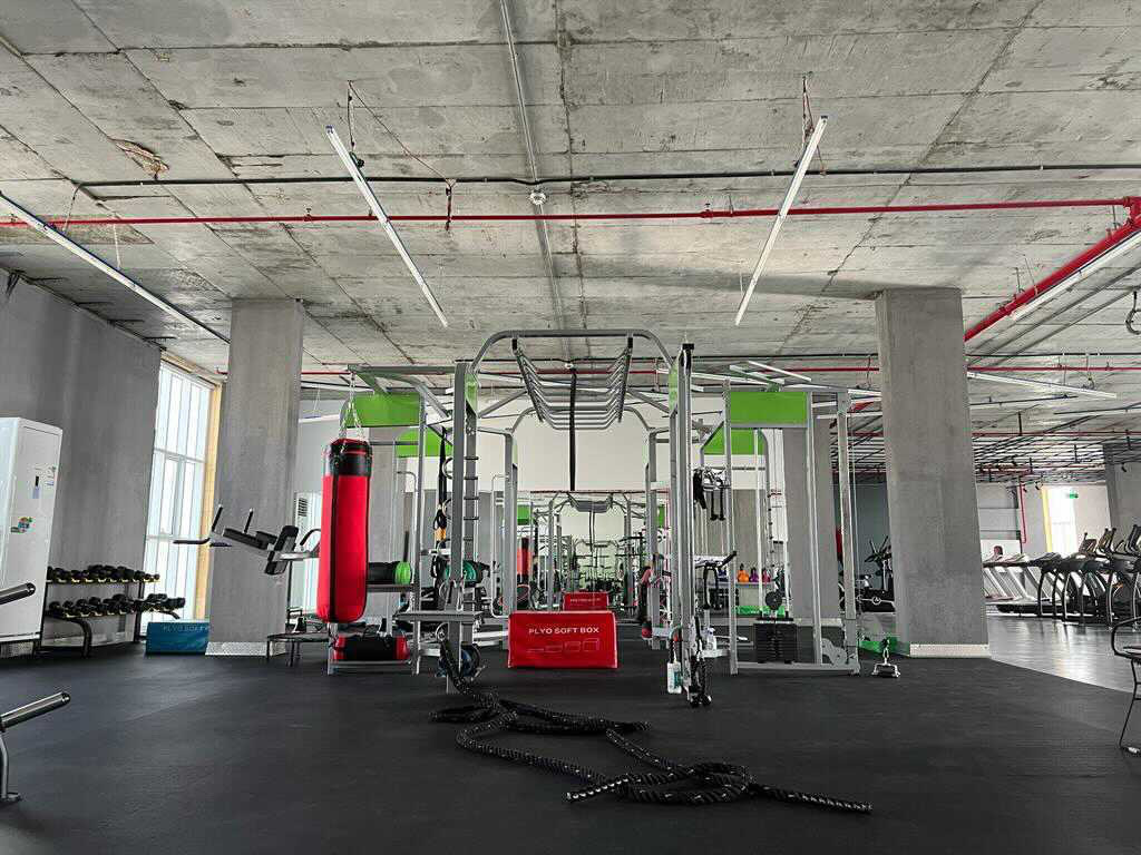 تيتانيوم للياقة السيدات - صورة 3