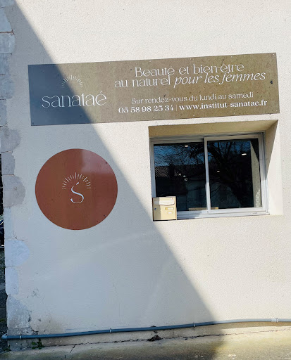 Institut Sanataé