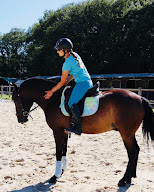 Les Écuries d’Urly pension pour chevaux à Louzouer
