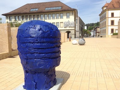 Photos of The Liechtenstein National Museum