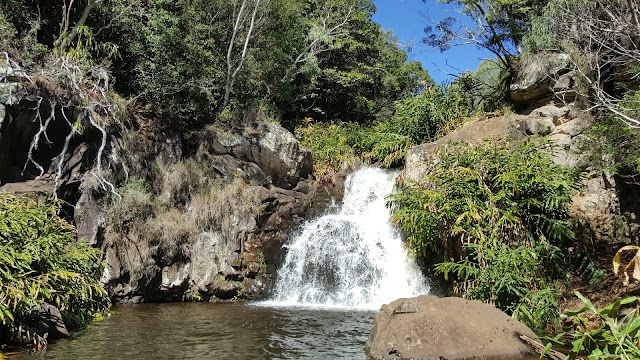 Waimea Canyon State Park