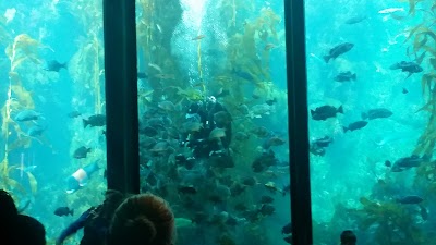 Photos of Monterey Bay Aquarium Gift & Bookstore