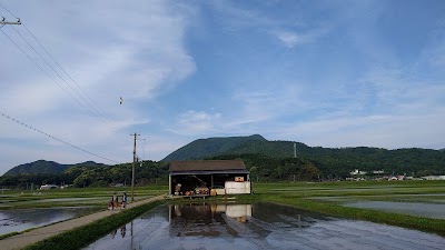 からだの芯から健康になる 京丹後 野木源