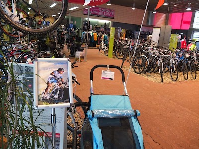 Photos of Little John Bikes Magdeburg-Altstadt