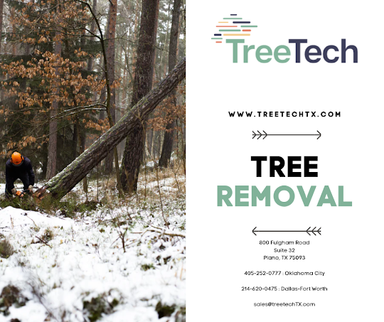 Tree Removal in Texas