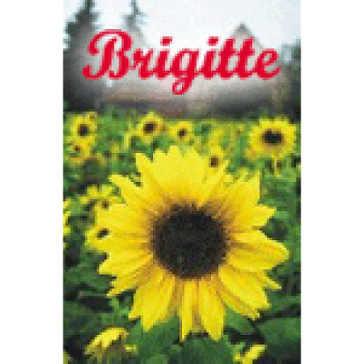 Photos of Estetica Brigitte Santo Domingo