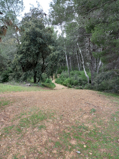 Plateau de la Crau Gallery - France