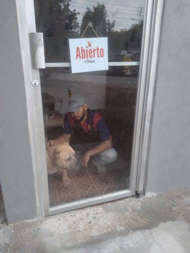 Estetica canina kairos