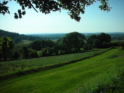 Photos of Green Adventure