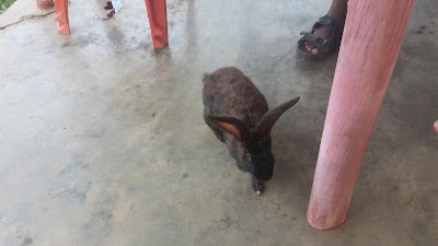 Photos of Kyabobo Center Guesthouse