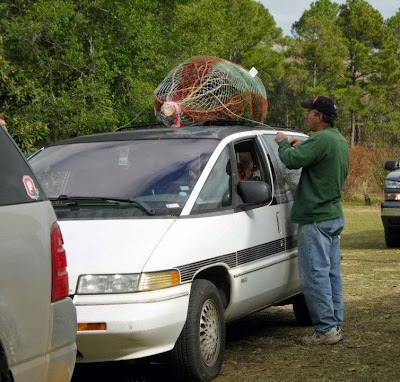 Photos of Brewer Christmas Tree Farm