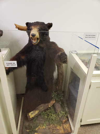 Indian Museum of Lake County - Thumbnail