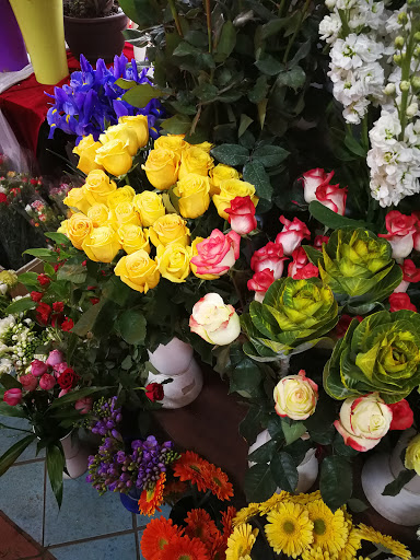I Fiori di Mister Lello - Thumbnail