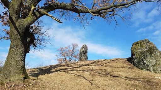Koppensteine - Visual