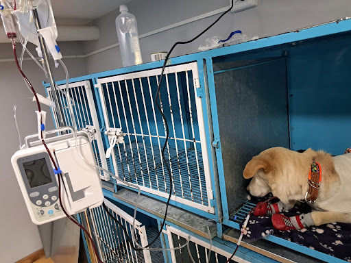 Centro Veterinario Tlatelolco 1.0