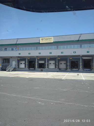 Foppiani Shipping & Logistics Srl
