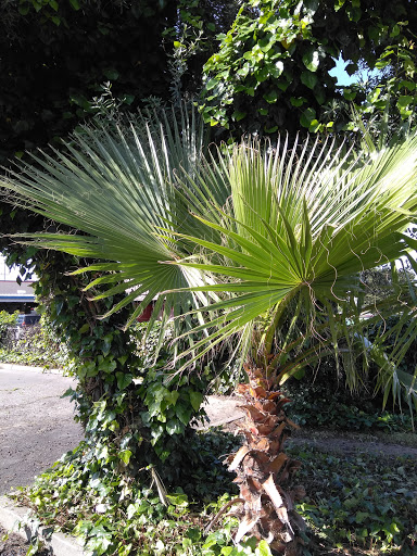 Franklin Blvd & Florin Rd (SB) - Thumbnail