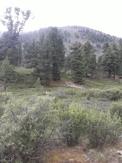 park