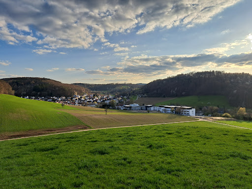 waschenbach - Visual