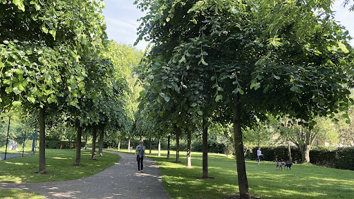 Coleridge Square - Visual