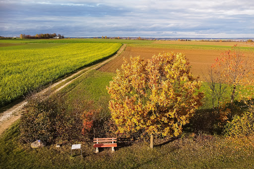 Schlacht bei Elchingen