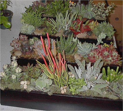 Send Flowers Here.com - Visual