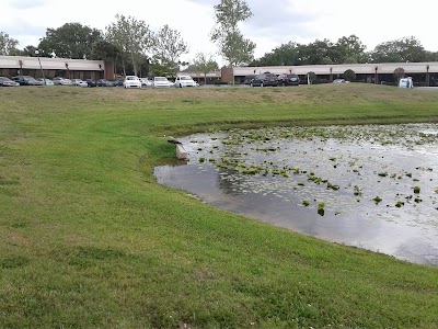 Photos of Holiday Inn Express Clearwater East - Icot Center